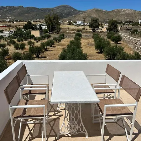 The Olive House بيت للعطل *